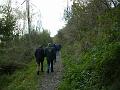 wandeling 22-10-2017_(31)